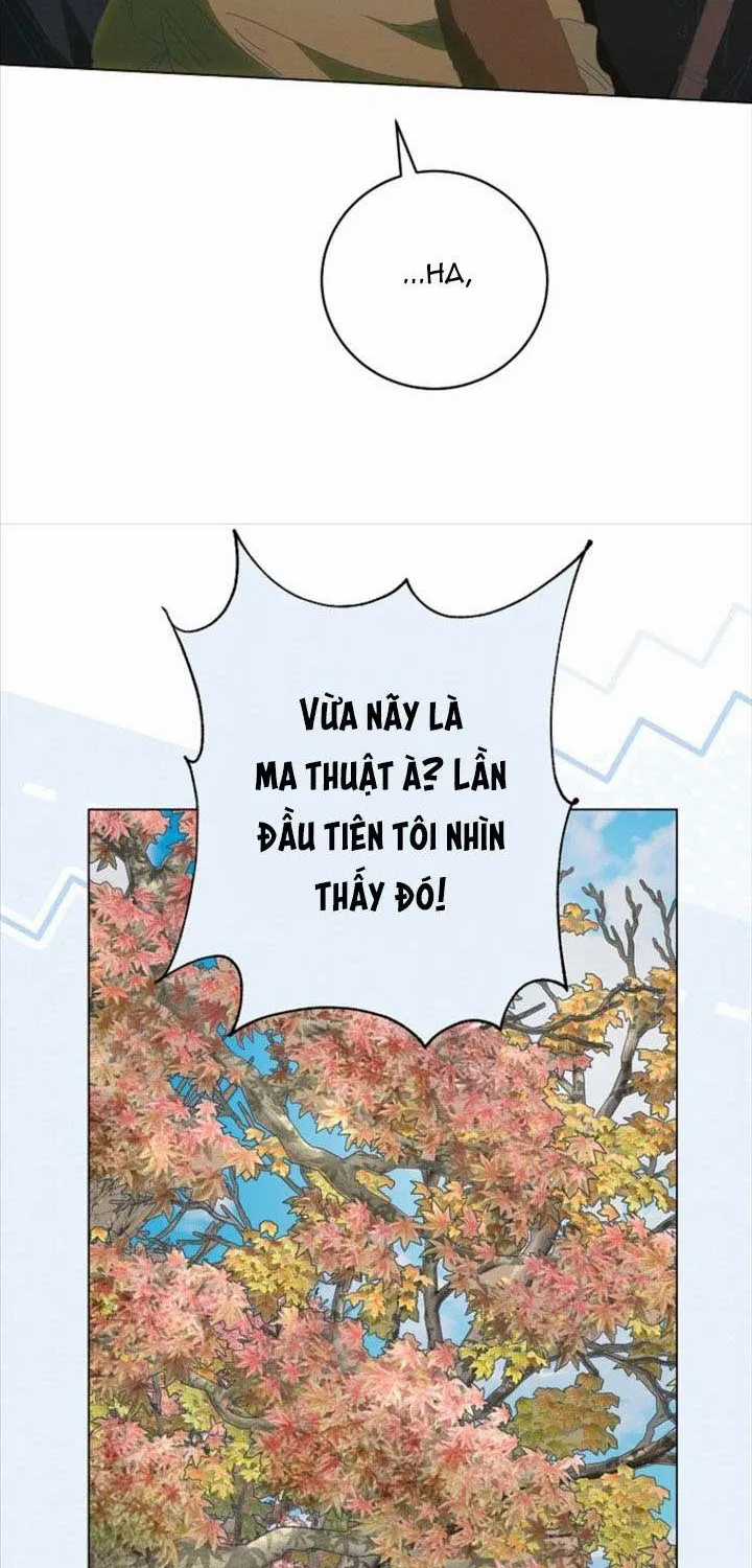 Công Nữ Tái Sinh - Chapter 65 - Trang 37