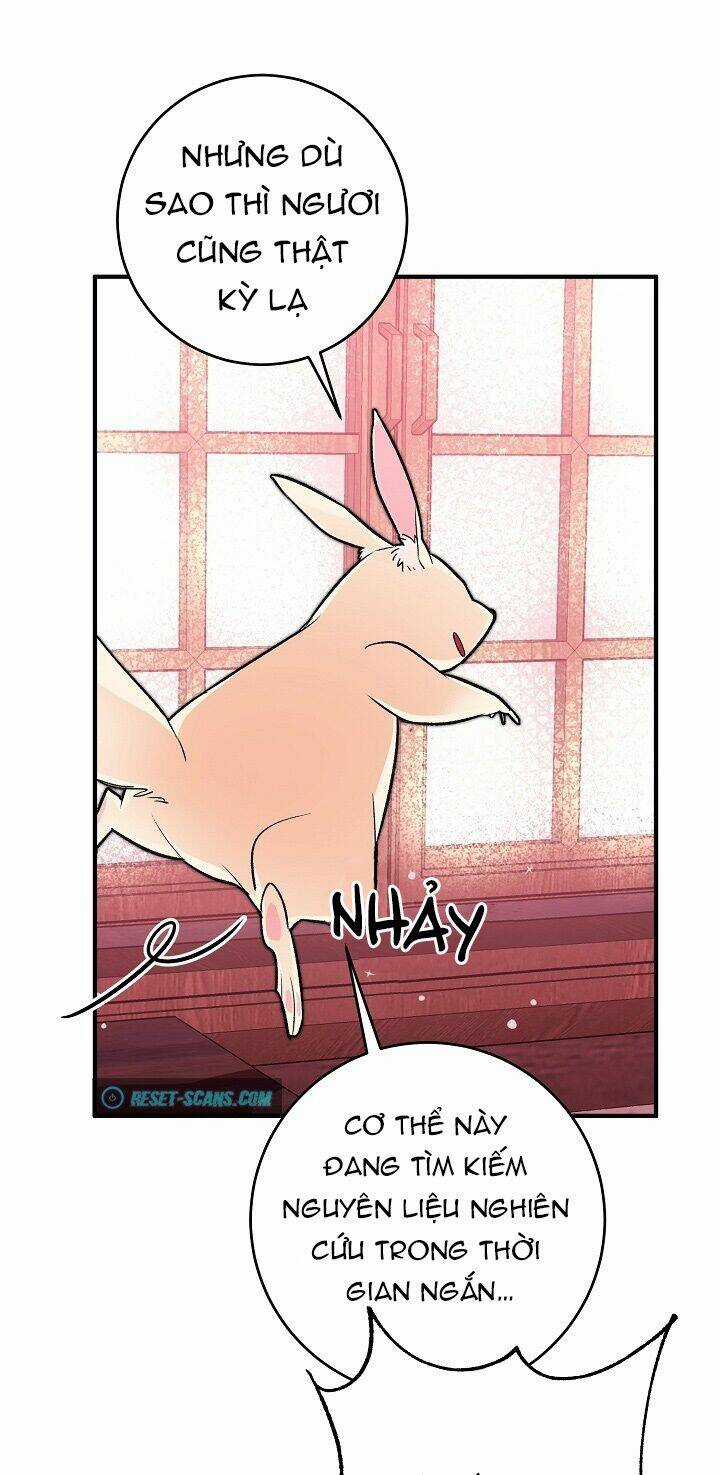 Công Nương Đã Thay Đổi - Chapter 33 - Trang 12