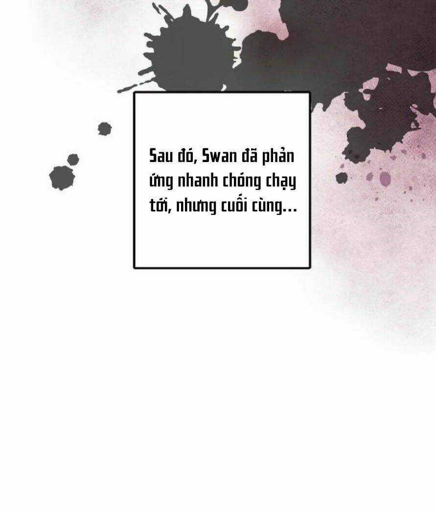 Công Nương Đã Thay Đổi - Chapter 70.1 - Trang 34