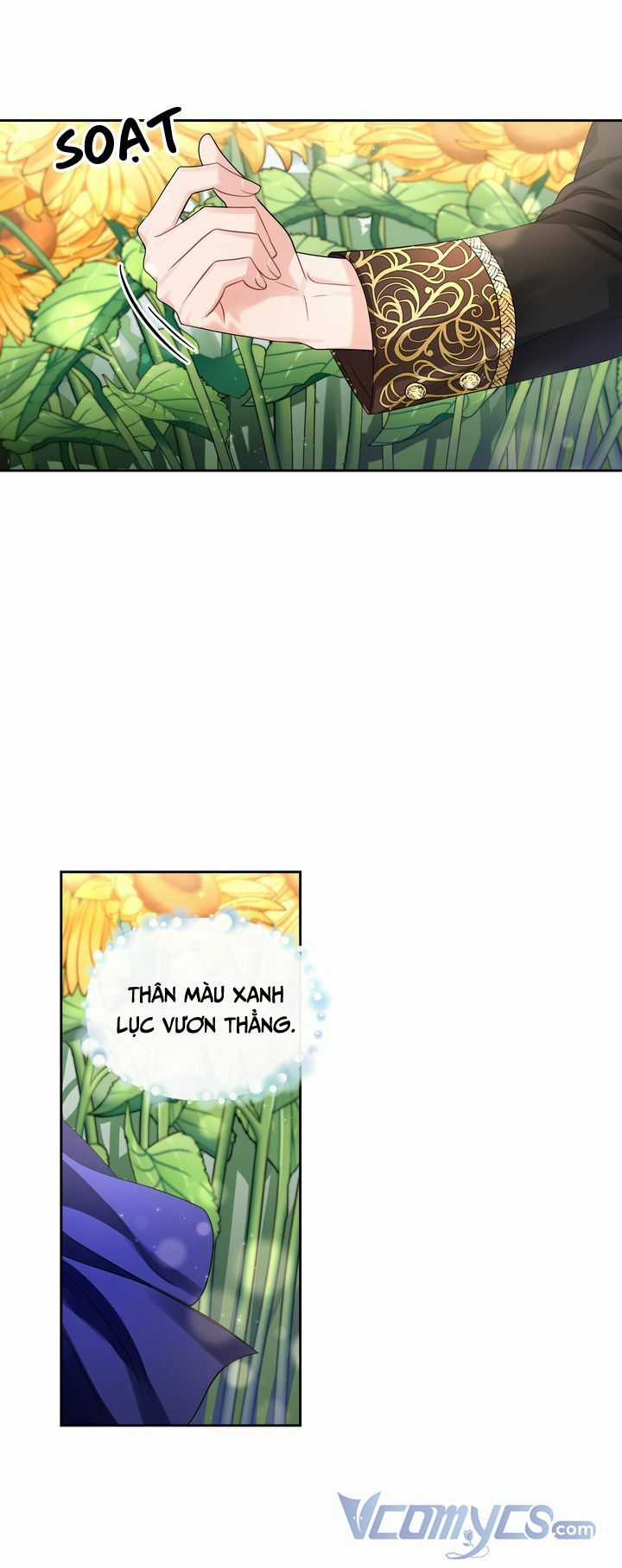 Công Nương Su - Chapter 48 - Trang 37