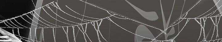 Cốt Binh Trở Lại - Chương 148 - Trang 18