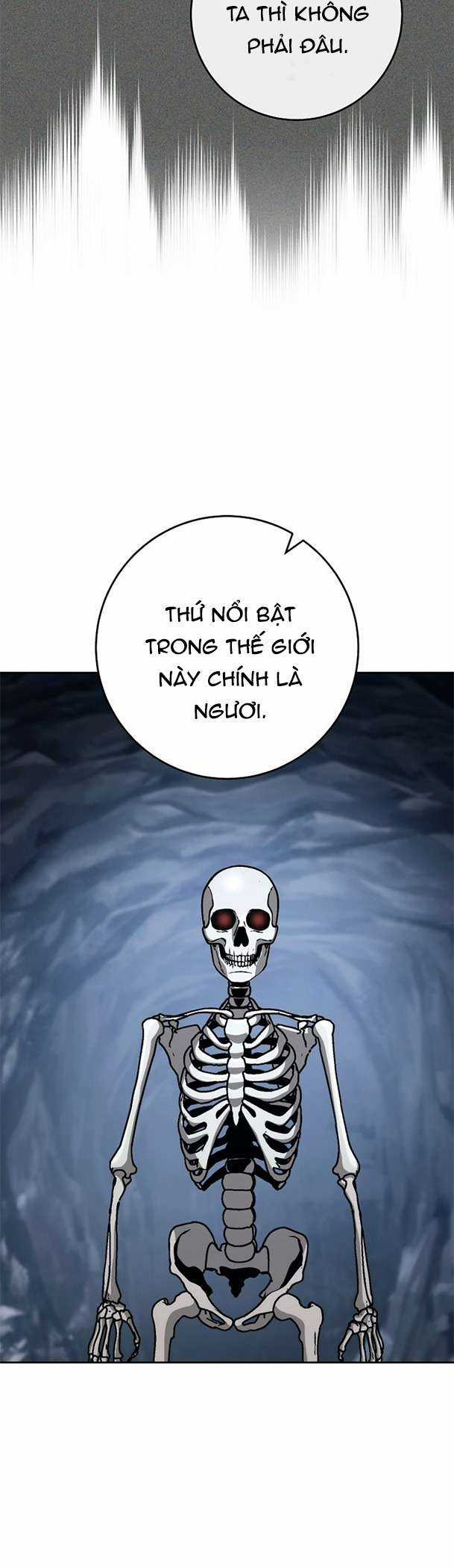 Cốt Binh Trở Lại - Chương 243 - Trang 24