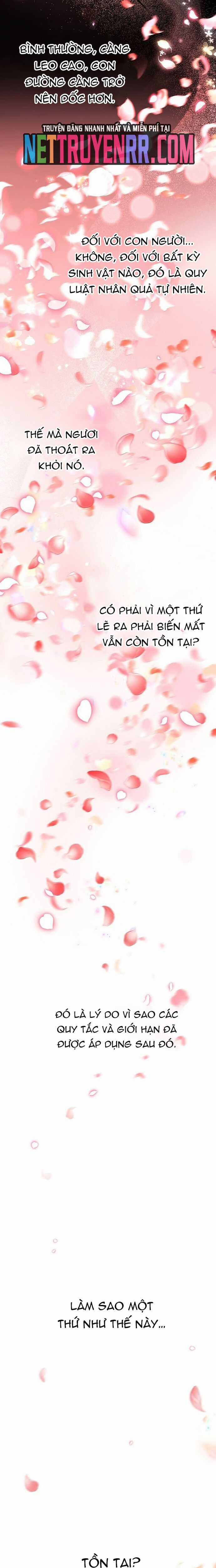 Cốt Binh Trở Lại - Chương 334 - Trang 35