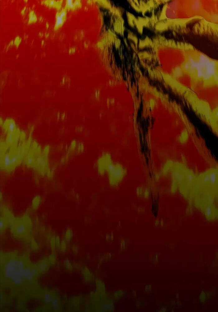 Cốt Nhân - Chương 4 - Trang 183