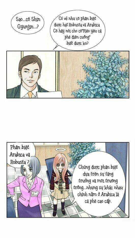 Crazy Coffee Cat - Chapter 1 - Trang 22