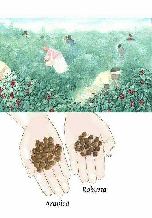 Crazy Coffee Cat - Chapter 1 - Trang 23