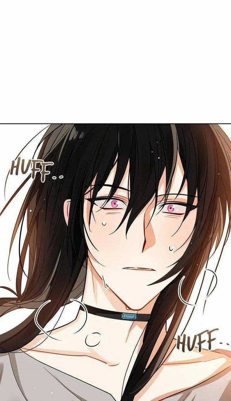 Crimson Karma - Chapter 74 - Trang 50