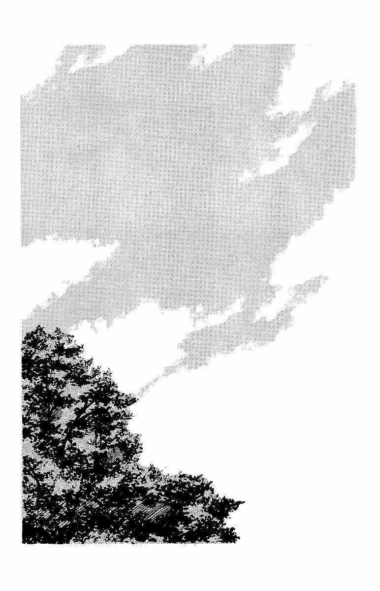 Crows - Chapter 63 - Trang 9