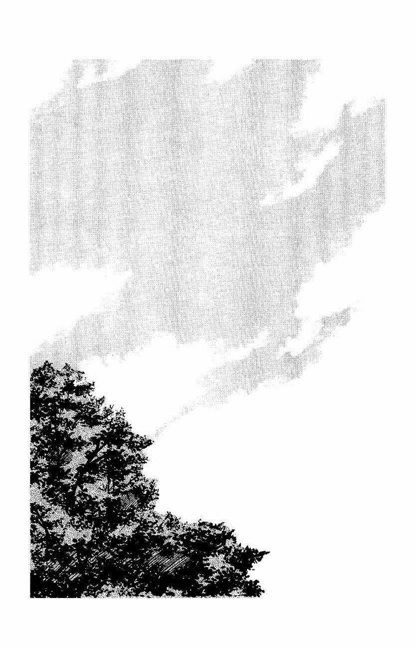 Crows - Chapter 87 - Trang 4