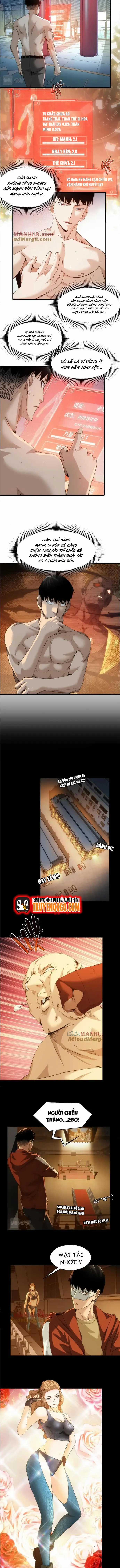 Cú Đấm Trời Giáng - Chương 24 - Trang 3