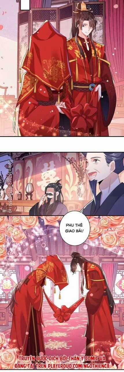 Cực Phẩm Cuồng Tể - Chapter 14 - Trang 15