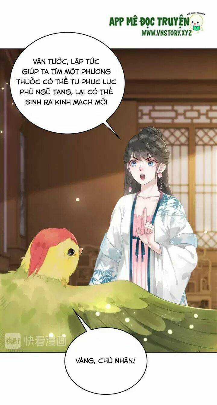 Cực Phẩm Phế Vật Tiểu Thư - Chapter 104 - Trang 41