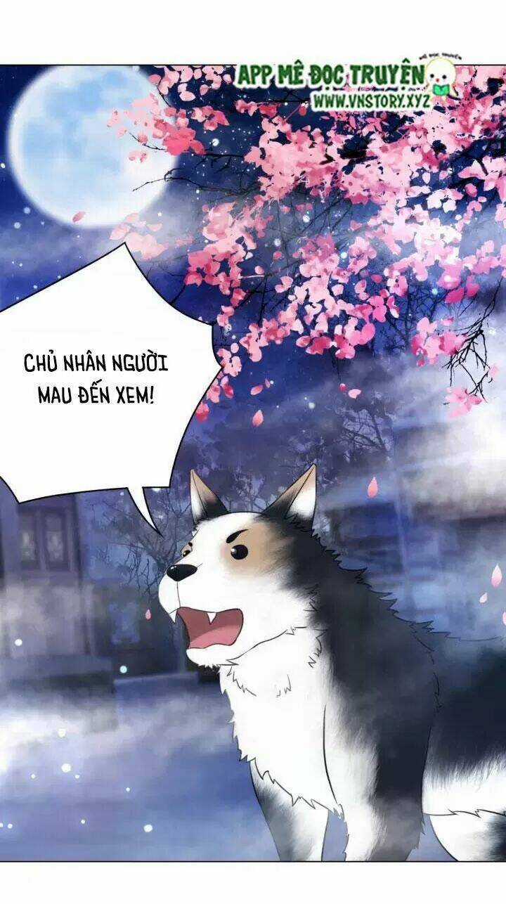 Cực Phẩm Phế Vật Tiểu Thư - Chapter 105 - Trang 19