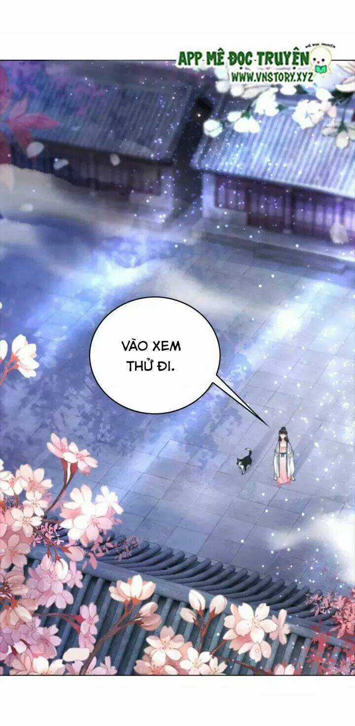 Cực Phẩm Phế Vật Tiểu Thư - Chapter 105 - Trang 23