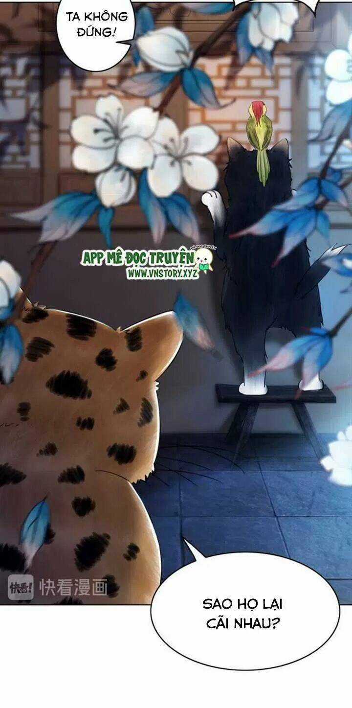 Cực Phẩm Phế Vật Tiểu Thư - Chapter 64 - Trang 52