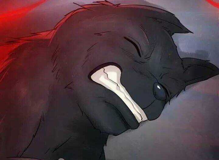 Cực Phẩm Phế Vật Tiểu Thư - Chapter 70 - Trang 43