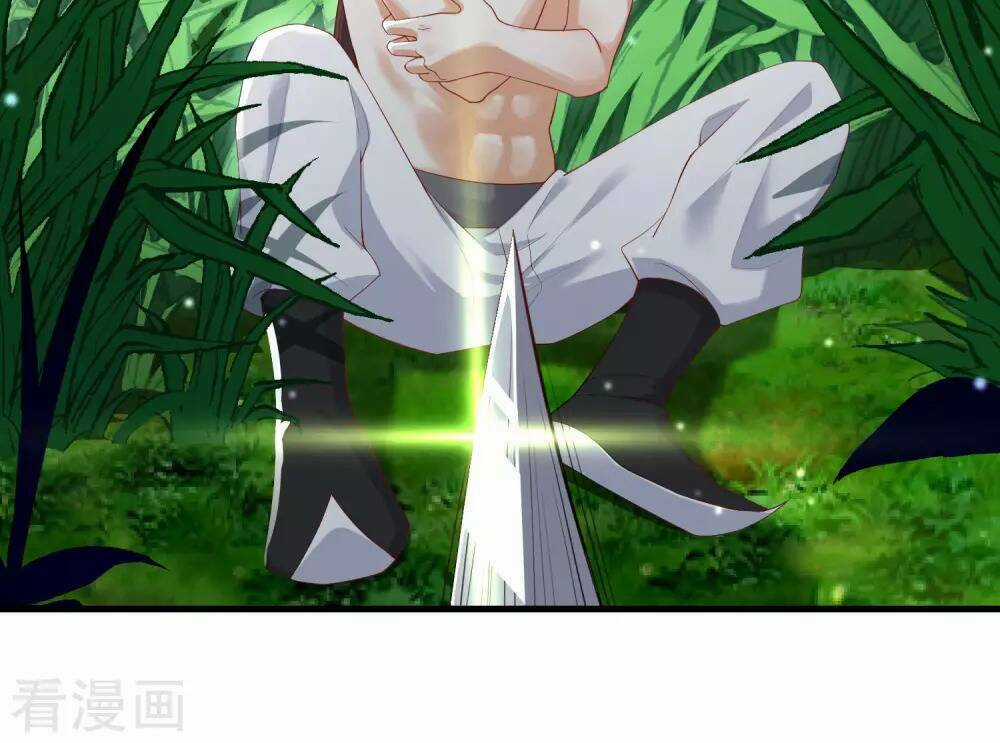 Cực Phẩm Tiên Đế - Chapter 1 - Trang 41