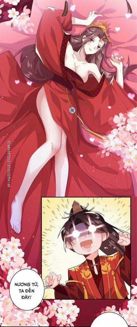 Cực Phẩm Tiên Đế - Chapter 14 - Trang 17