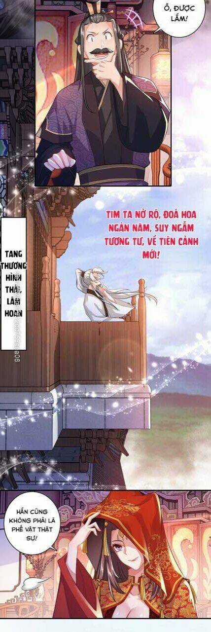 Cực Phẩm Tiên Đế - Chapter 14 - Trang 4