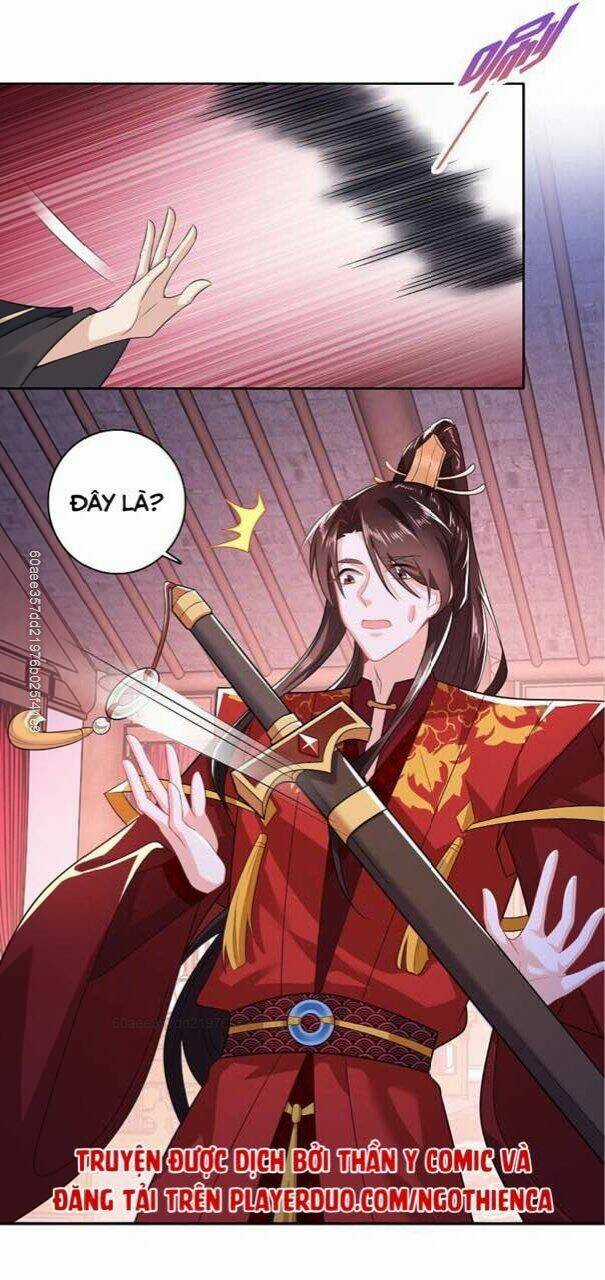 Cực Phẩm Tiên Đế - Chapter 14 - Trang 8