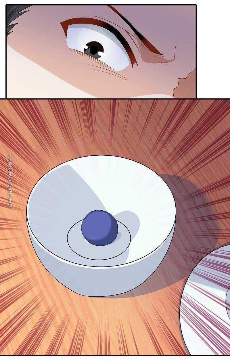 Cực Phẩm Tiên Đế - Chapter 26 - Trang 22