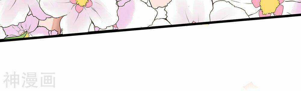 Cực Phẩm Tiên Y - Chapter 1 - Trang 8