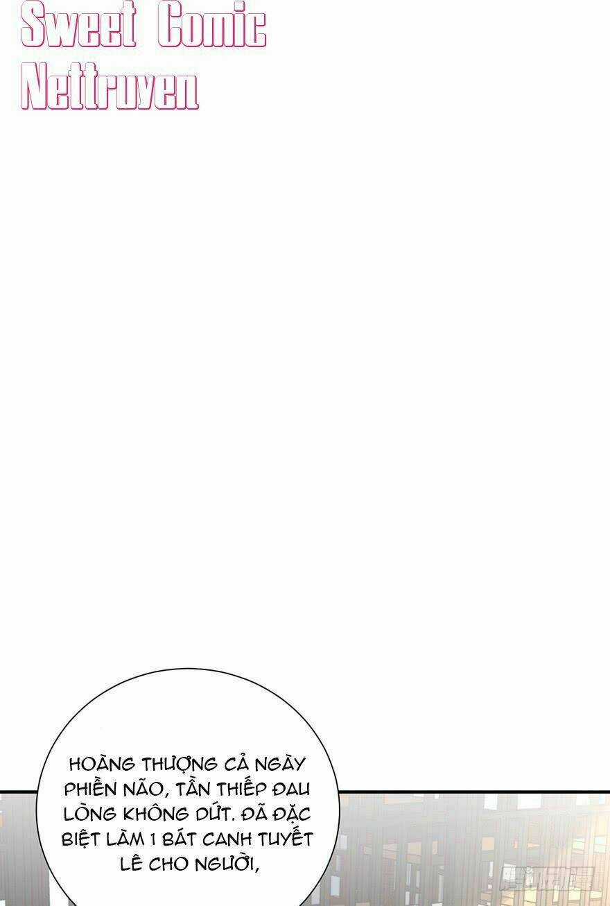 Cung Đấu Live - Chapter 14 - Trang 17