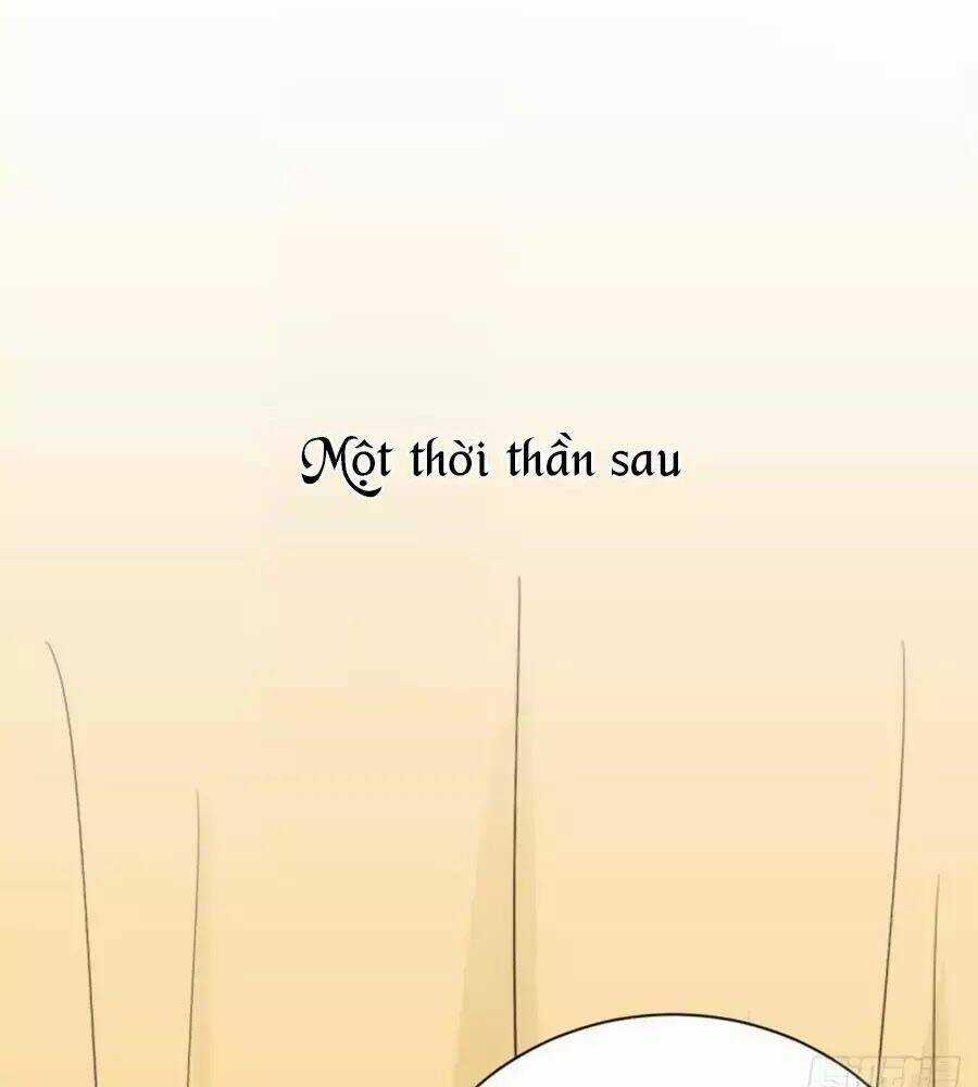 Cung Đấu Live - Chapter 37 - Trang 64