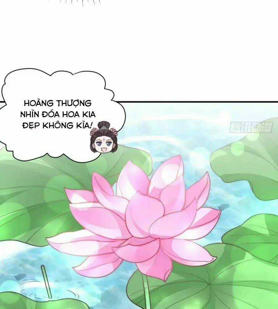 Cung Đấu Live - Chapter 38 - Trang 47