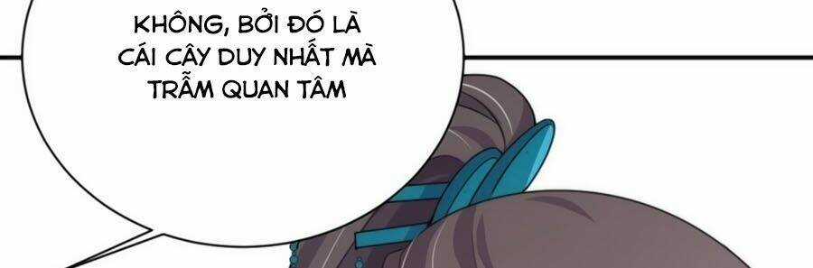 Cung Đấu Live - Chapter 43 - Trang 25