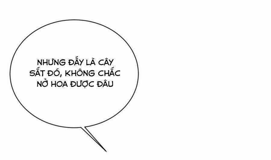 Cung Đấu Live - Chapter 43 - Trang 28