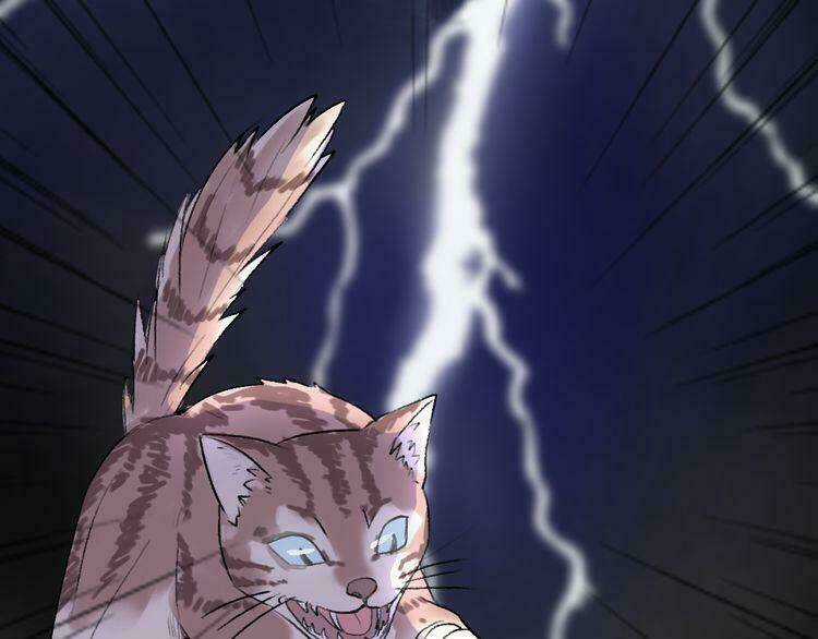 Cuộc Chiến Tình Yêu - Chapter 22 - Trang 16