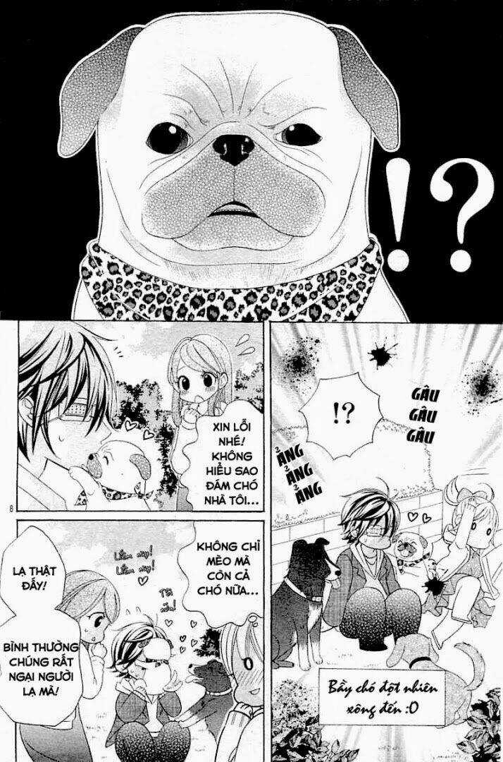 Cuộc Gặp Gỡ Diệu Kỳ - Chapter 20 - Trang 11