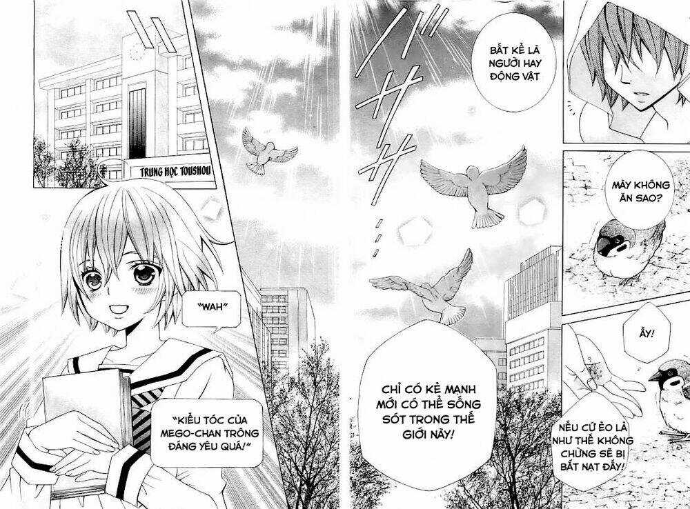 Cuộc Gặp Gỡ Diệu Kỳ - Chapter 26 - Trang 5