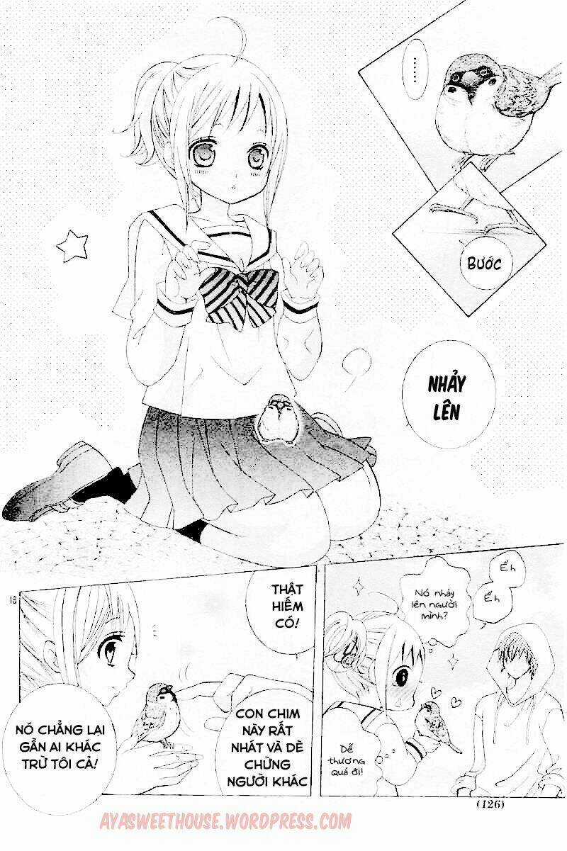 Cuộc Gặp Gỡ Diệu Kỳ - Chapter 28 - Trang 19