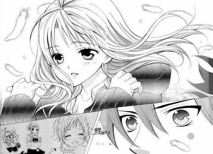 Cuộc Gặp Gỡ Diệu Kỳ - Chapter 31 - Trang 29