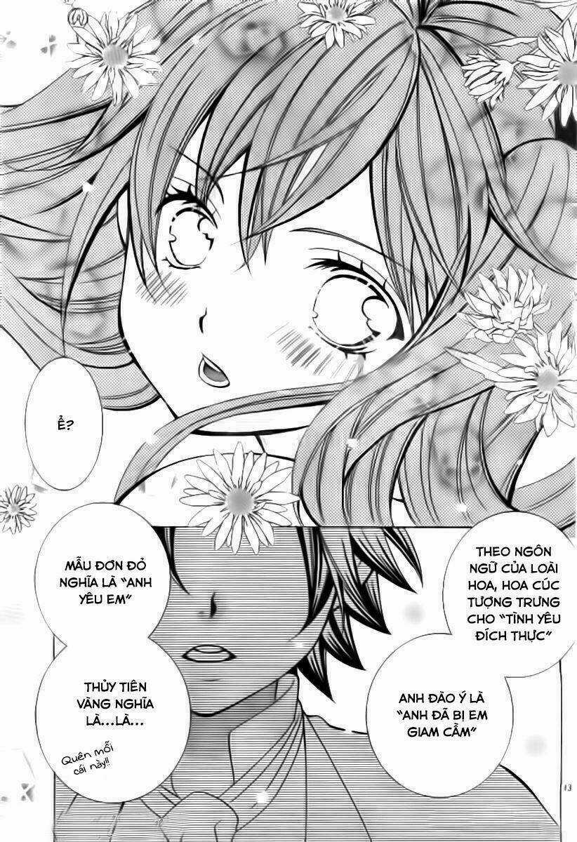 Cuộc Gặp Gỡ Diệu Kỳ - Chapter 51 - Trang 12