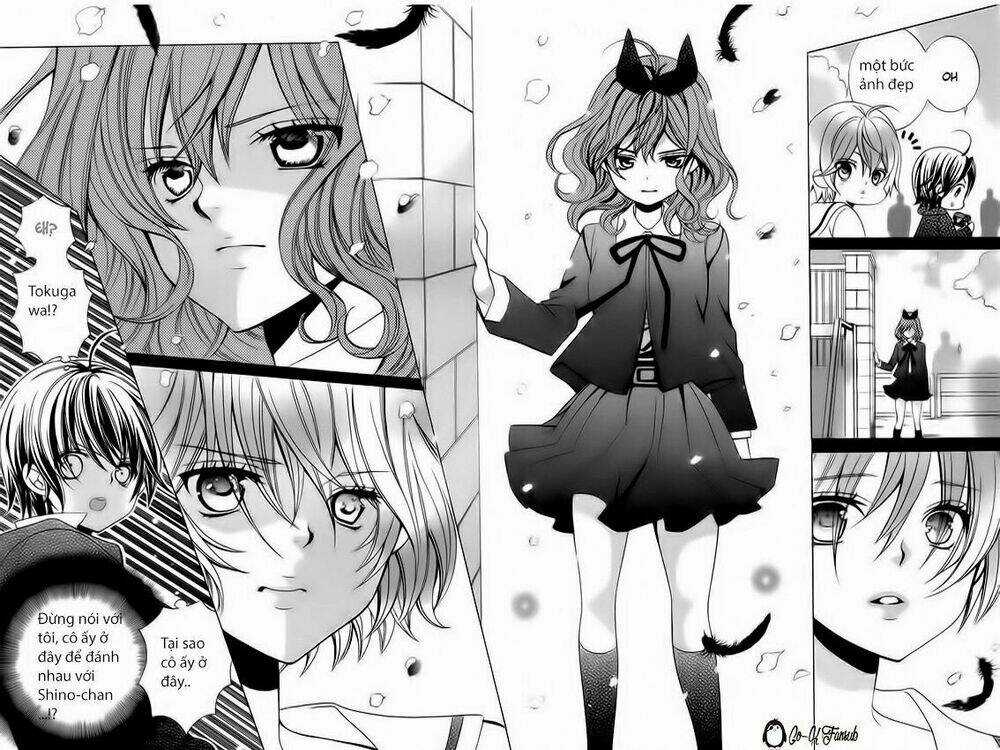 Cuộc Gặp Gỡ Diệu Kỳ - Chapter 65 - Trang 7