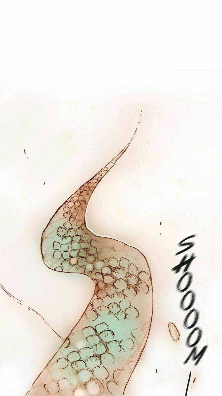 Cuộc hành trình của Pháp sư - Chapter 5 - Trang 71