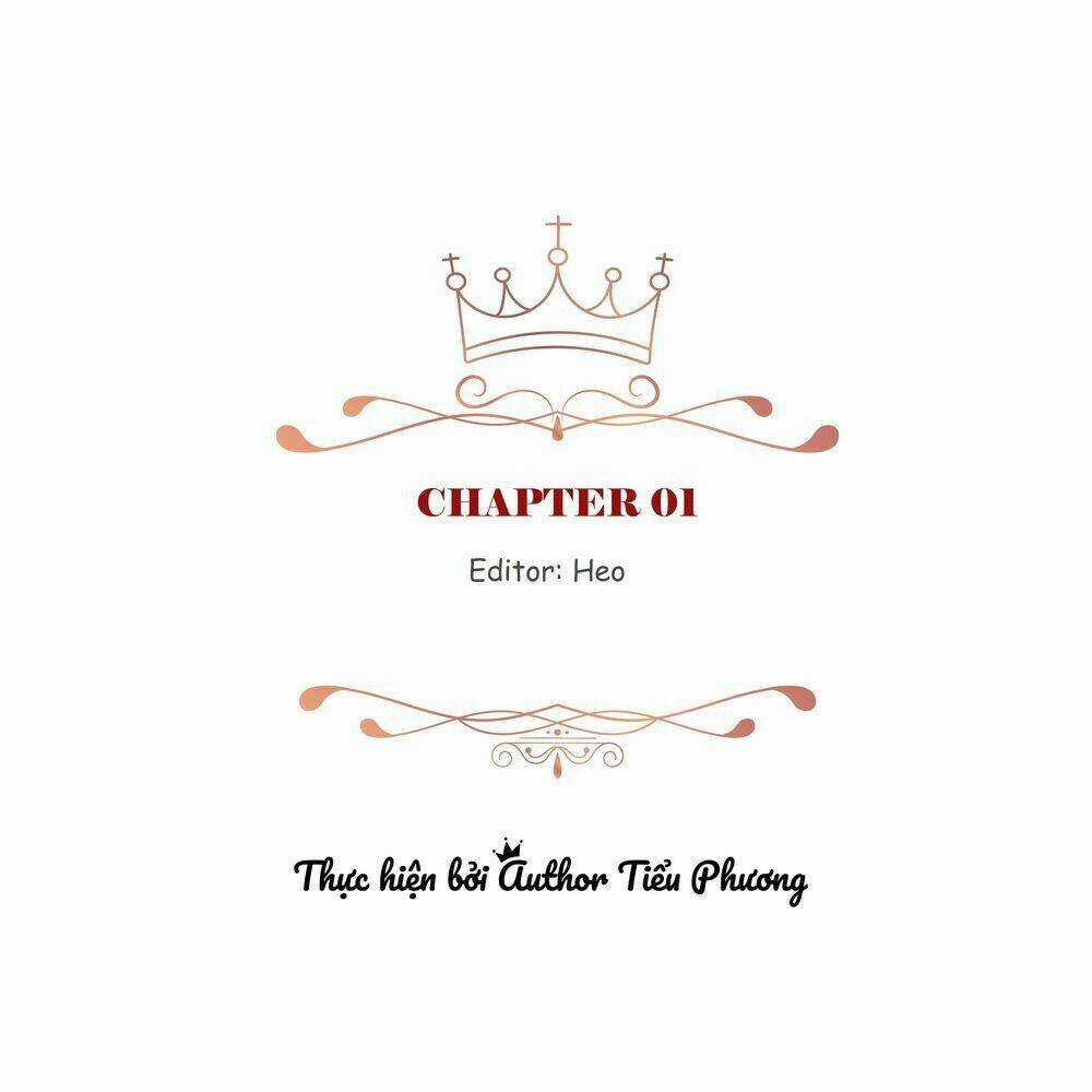 Cuộc Hôn Nhân Giả Dối - Chapter 1 - Trang 3