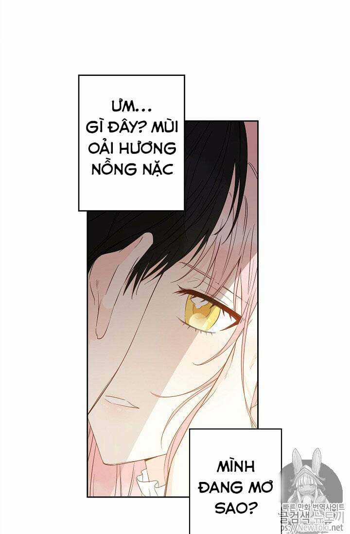 Cuộc Hôn Nhân Giả Dối - Chapter 28 - Trang 14