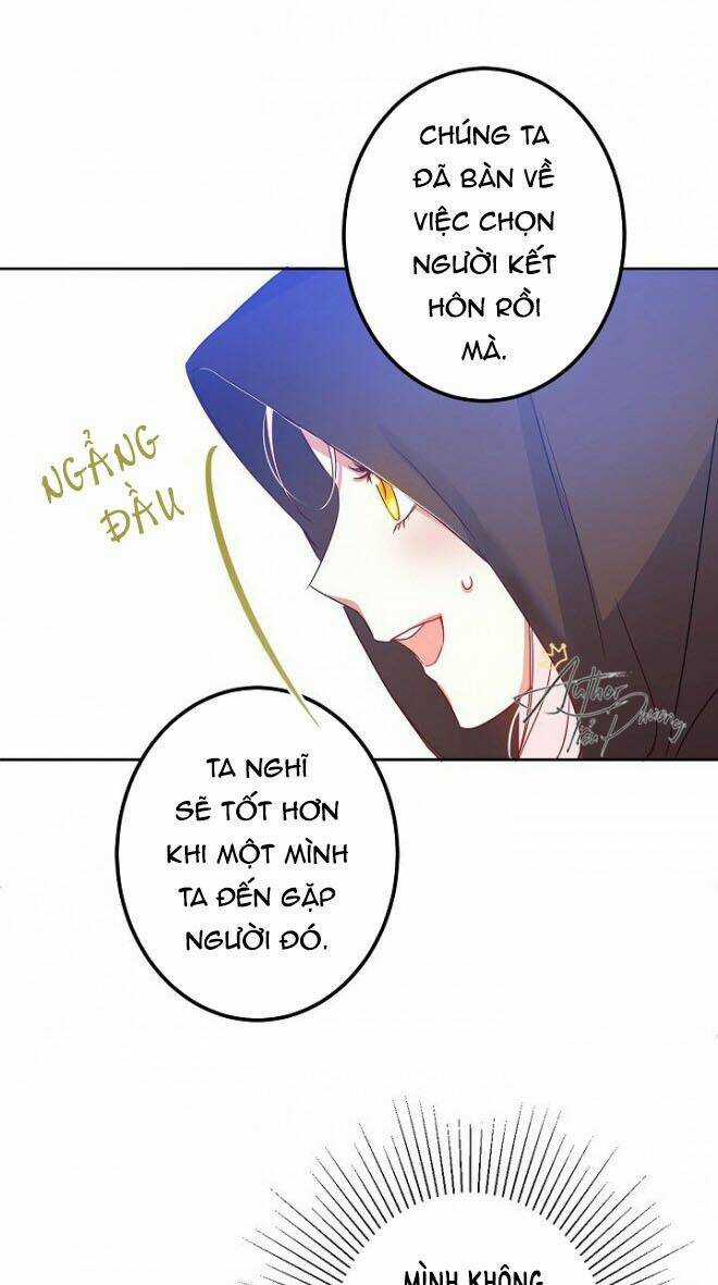 Cuộc Hôn Nhân Giả Dối - Chapter 3 - Trang 13