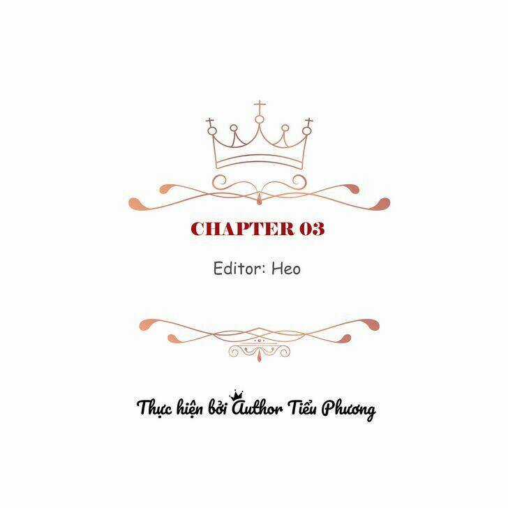 Cuộc Hôn Nhân Giả Dối - Chapter 3 - Trang 4