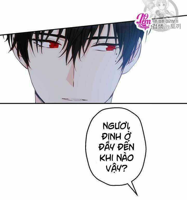 Cuộc Hôn Nhân Giả Dối - Chapter 57 - Trang 41