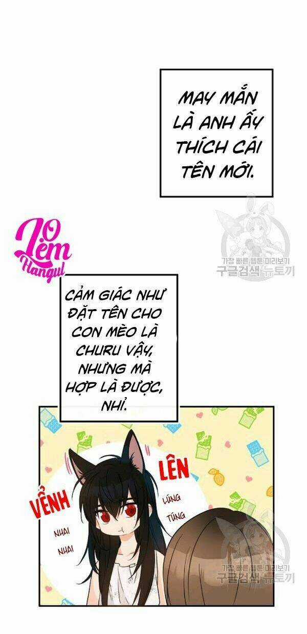 Cuộc Hôn Nhân Giả Dối - Chapter 72 - Trang 11