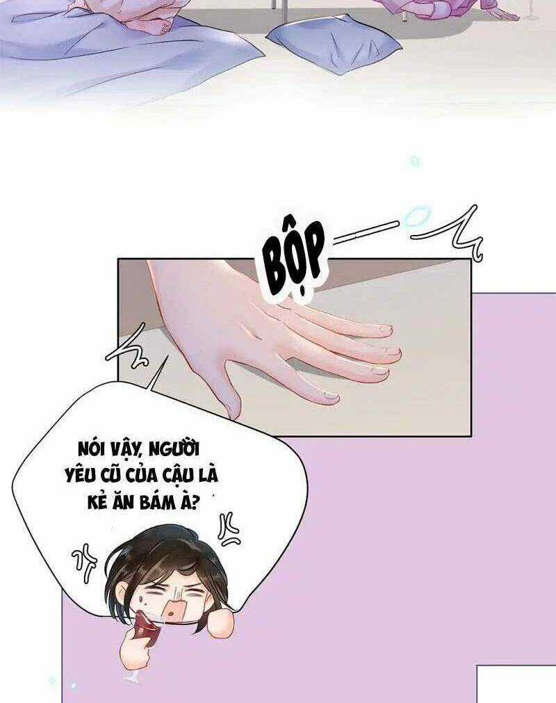 Cuộc Hôn Nhân Ngọt Ngào - Chapter 20 - Trang 6