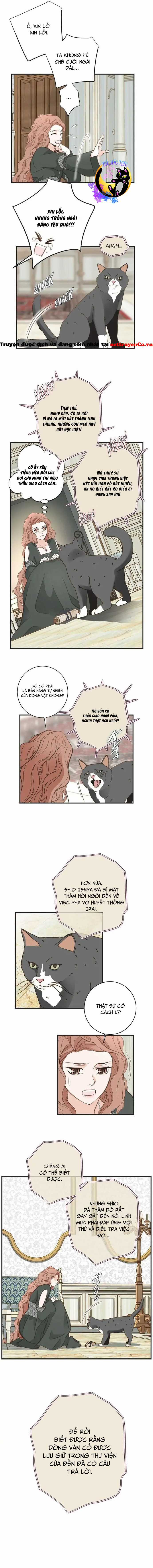 CUỘC HÔN NHÂN SỐNG CÒN - Chapter 30 - Trang 11