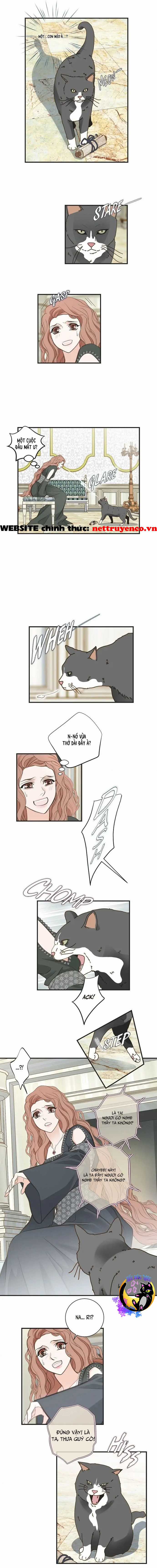 CUỘC HÔN NHÂN SỐNG CÒN - Chapter 30 - Trang 9