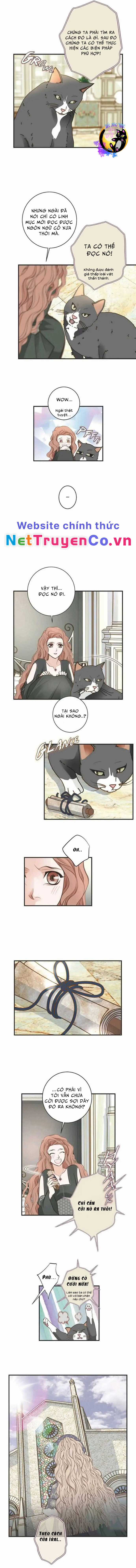 CUỘC HÔN NHÂN SỐNG CÒN - Chapter 31 - Trang 4