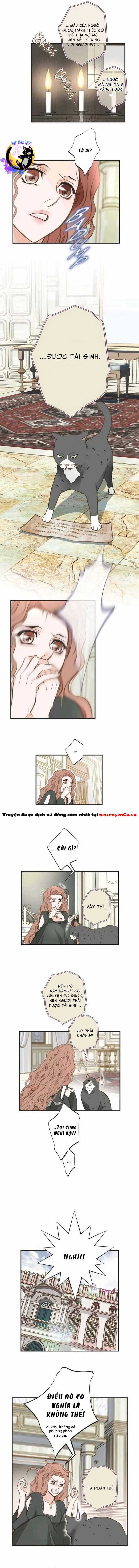 CUỘC HÔN NHÂN SỐNG CÒN - Chapter 31 - Trang 5